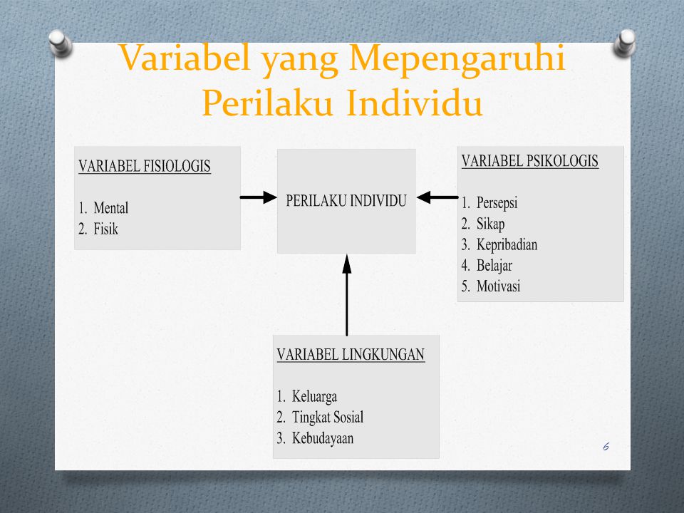 Variabel yang Mepengaruhi Perilaku Individu
