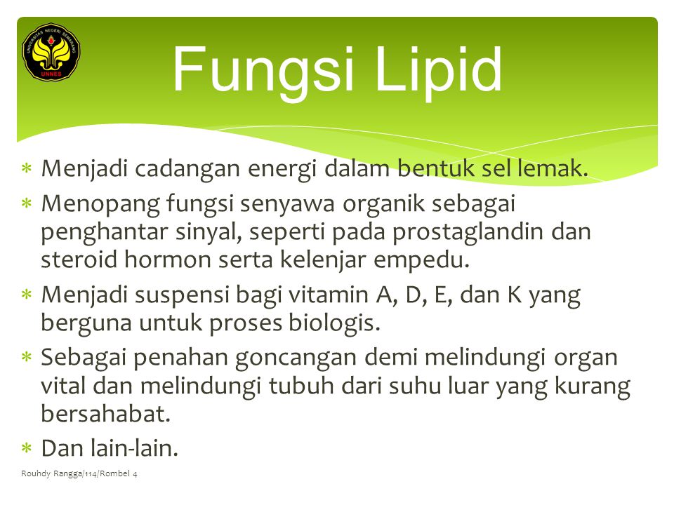 Fungsi Lipid Menjadi cadangan energi dalam bentuk sel lemak.