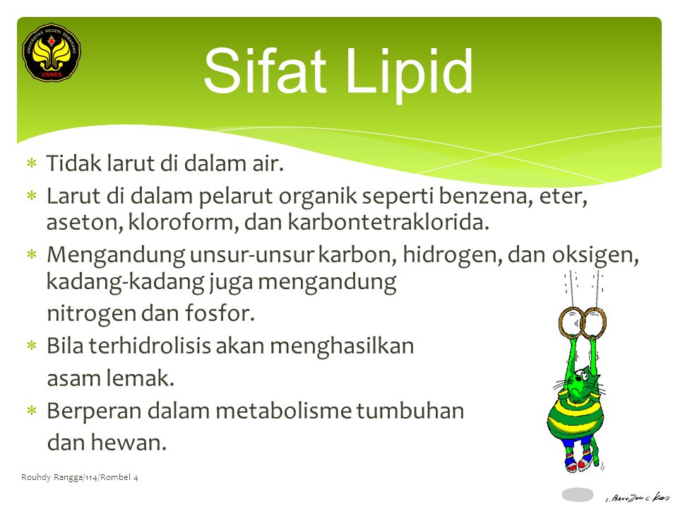 Sifat Lipid Tidak larut di dalam air.