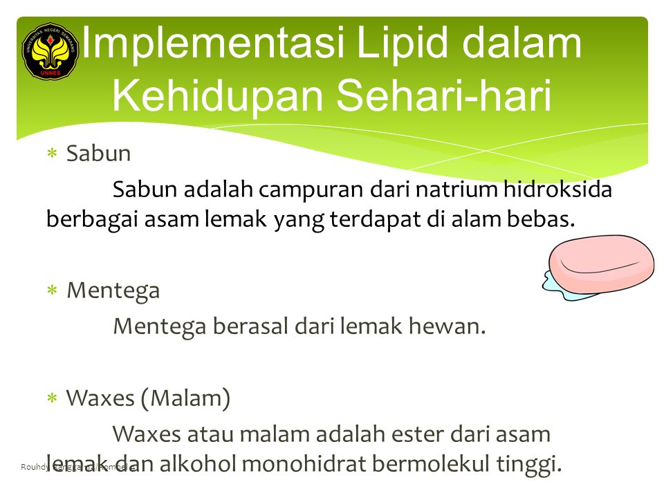 Implementasi Lipid dalam Kehidupan Sehari-hari