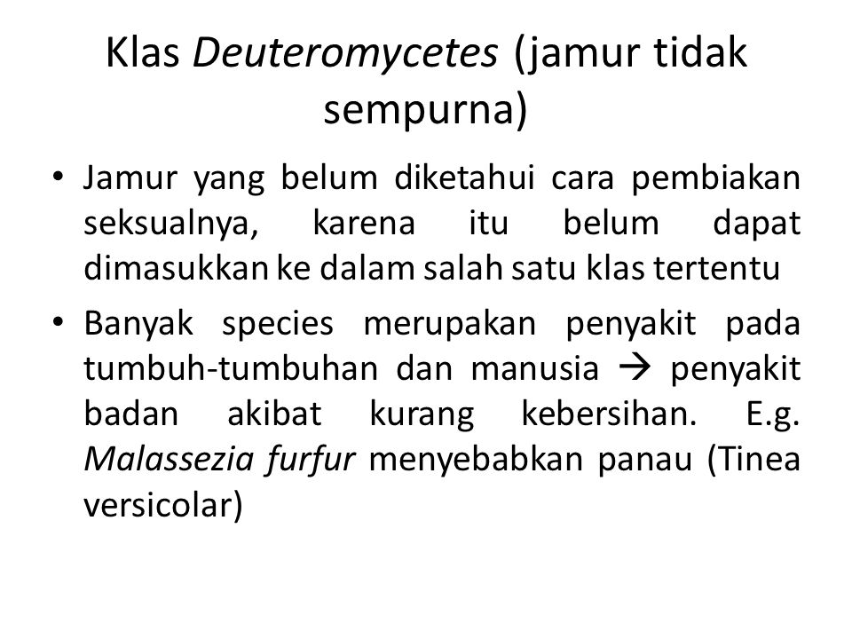 Klas Deuteromycetes (jamur tidak sempurna)