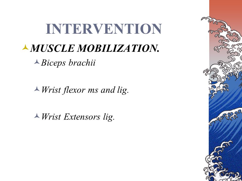 INTERVENTION MUSCLE MOBILIZATION. Biceps brachii