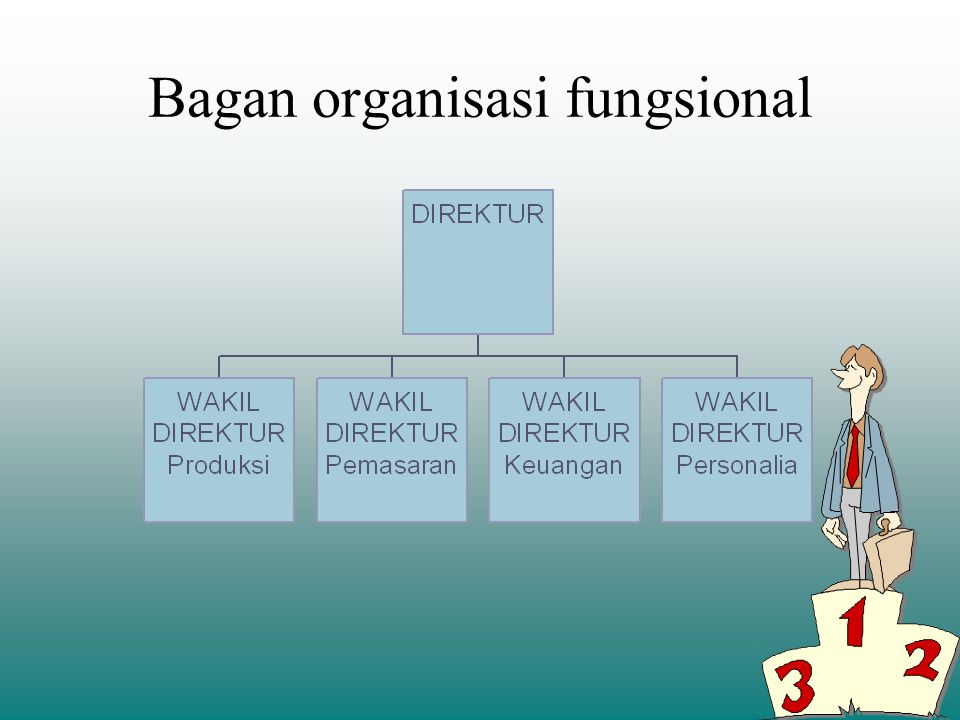 Bagan organisasi fungsional