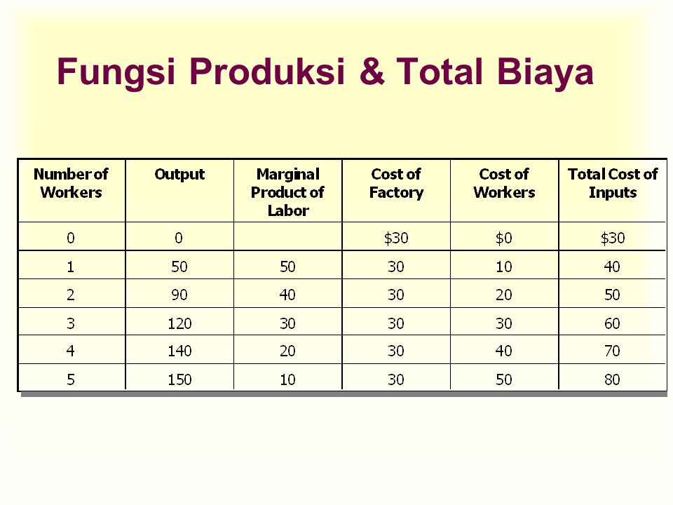 Fungsi Produksi & Total Biaya