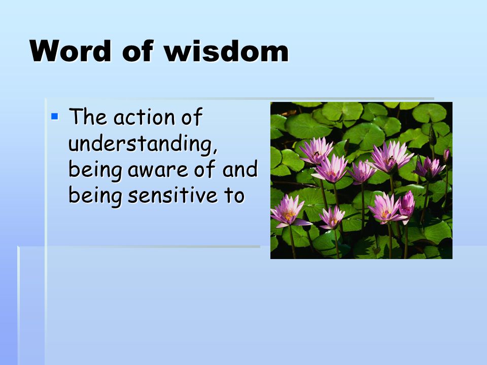 Word of wisdom The action of understanding, being aware of and being sensitive to