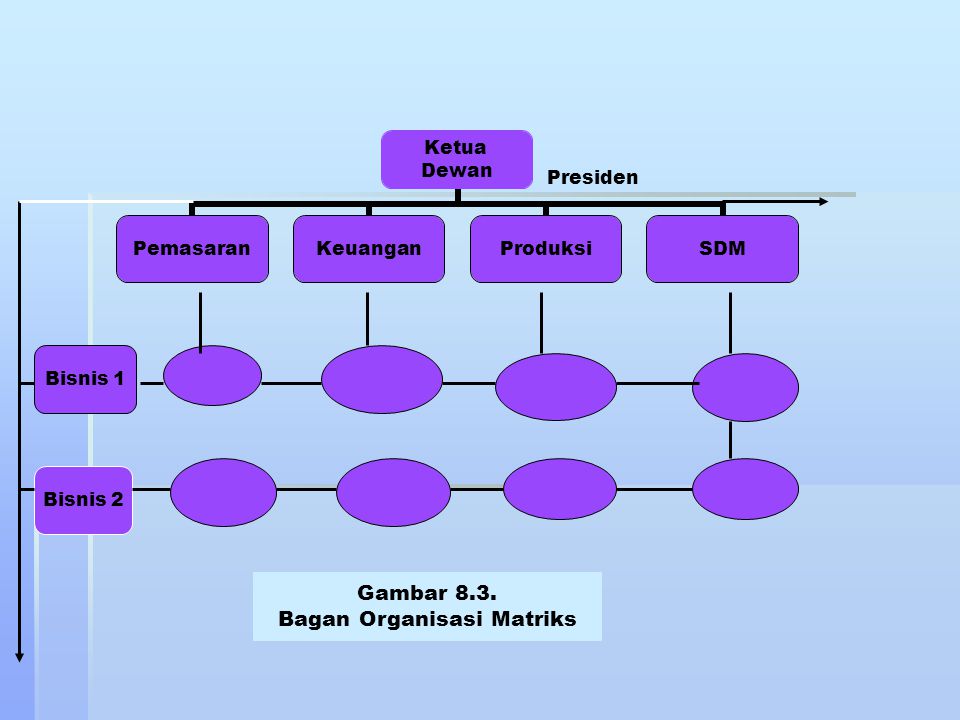 Bagan Organisasi Matriks