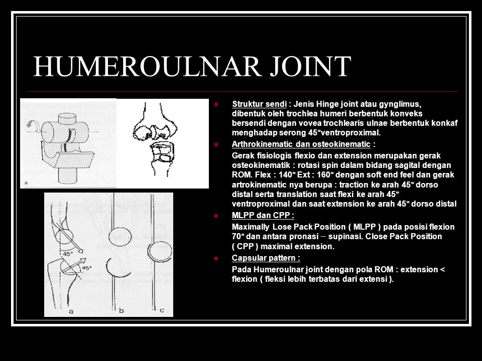 HUMEROULNAR JOINT