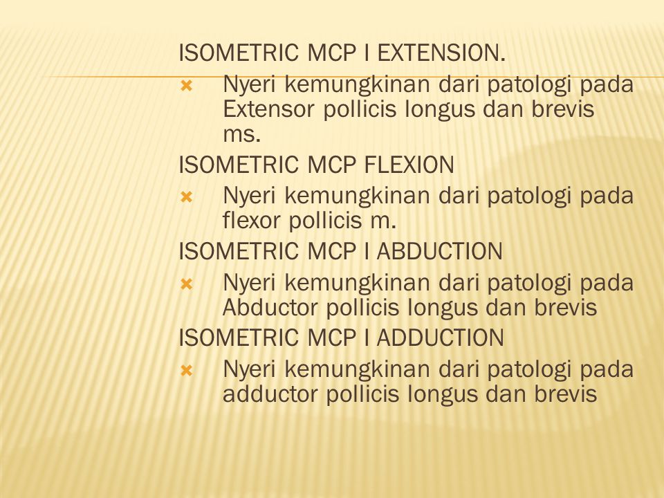 ISOMETRIC MCP I EXTENSION.