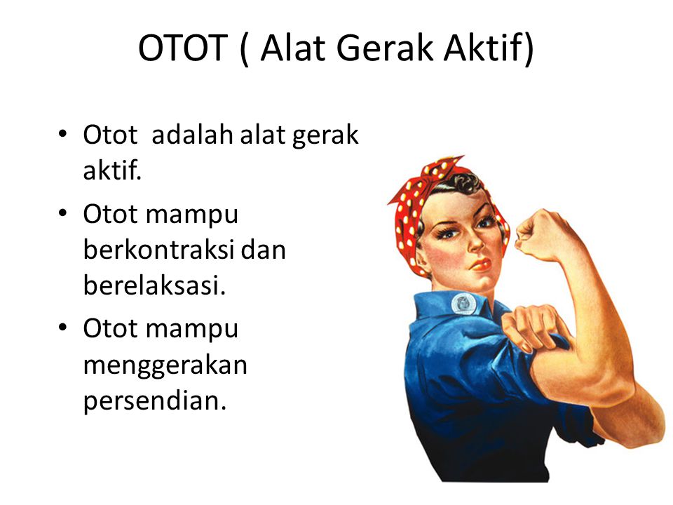 Contoh Alat Gerak Aktif Adalah