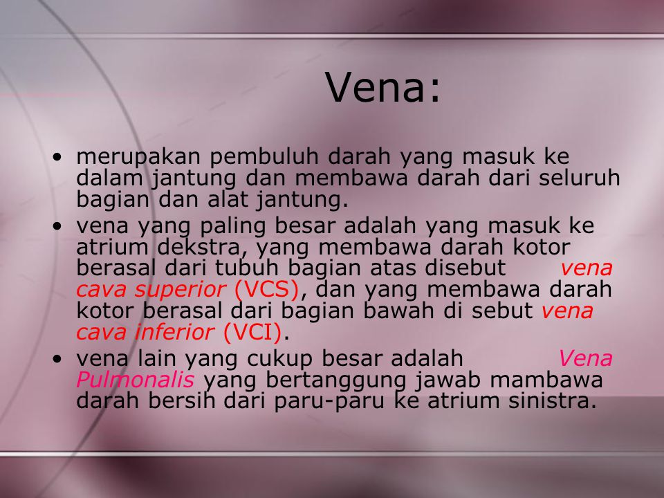 Vena: merupakan pembuluh darah yang masuk ke dalam jantung dan membawa darah dari seluruh bagian dan alat jantung.