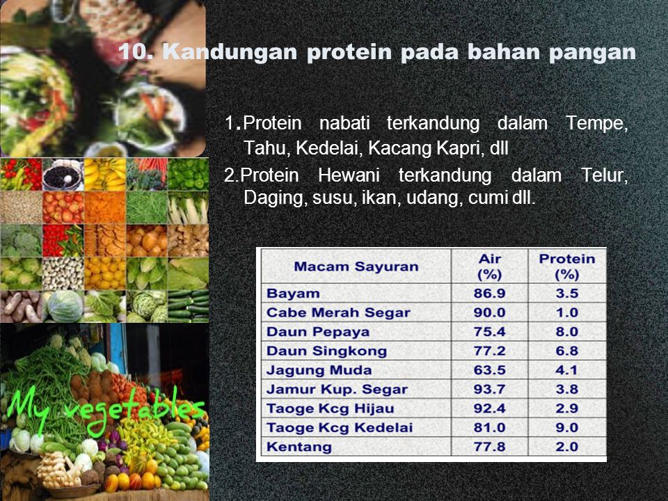 10. Kandungan protein pada bahan pangan
