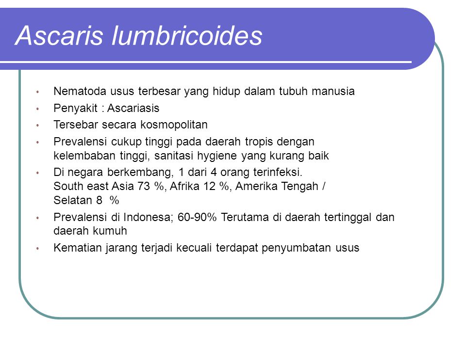Enterobiosis és hymenolepidosis Enterobiosis geohelminthiasis