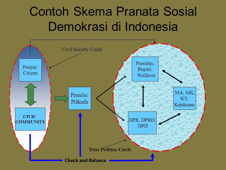 Contoh Skema Pranata Sosial Demokrasi di Indonesia