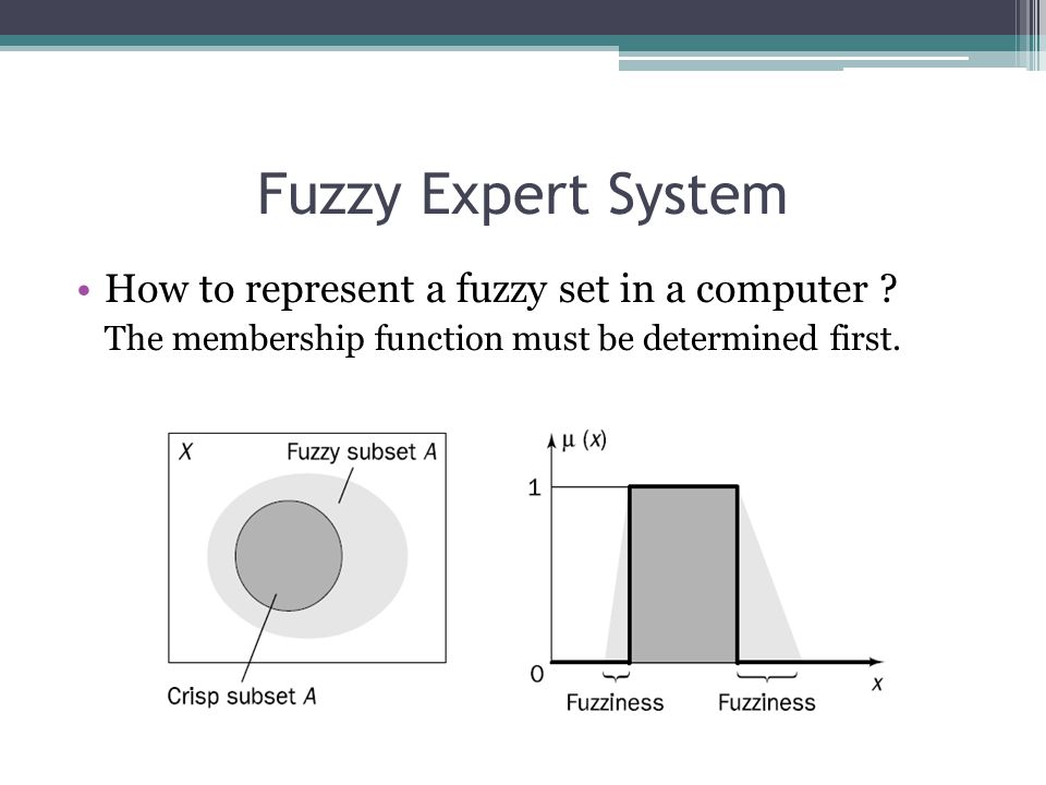 Fuzzy Expert System How to represent a fuzzy set in a computer