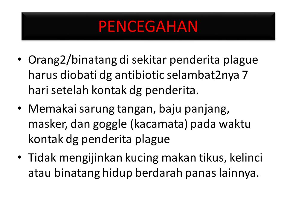 PENCEGAHAN Orang2/binatang di sekitar penderita plague harus diobati dg antibiotic selambat2nya 7 hari setelah kontak dg penderita.