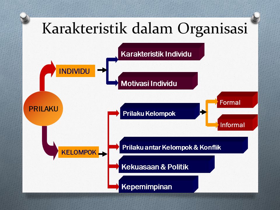 Karakteristik dalam Organisasi