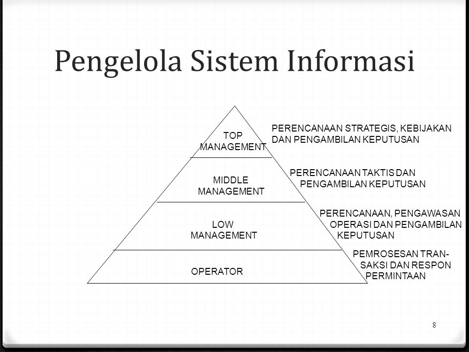 Pengelola Sistem Informasi