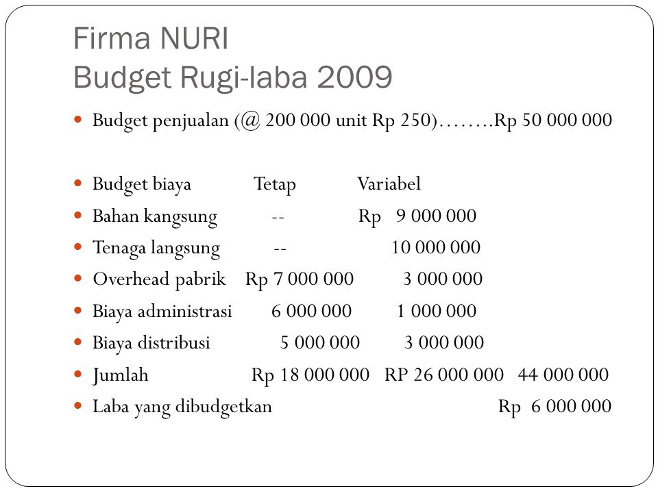 Firma NURI Budget Rugi-laba 2009