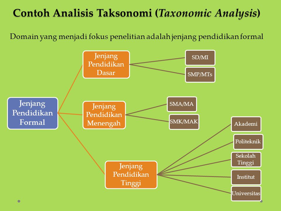 Contoh Analisis Taksonomi (Taxonomic Analysis)
