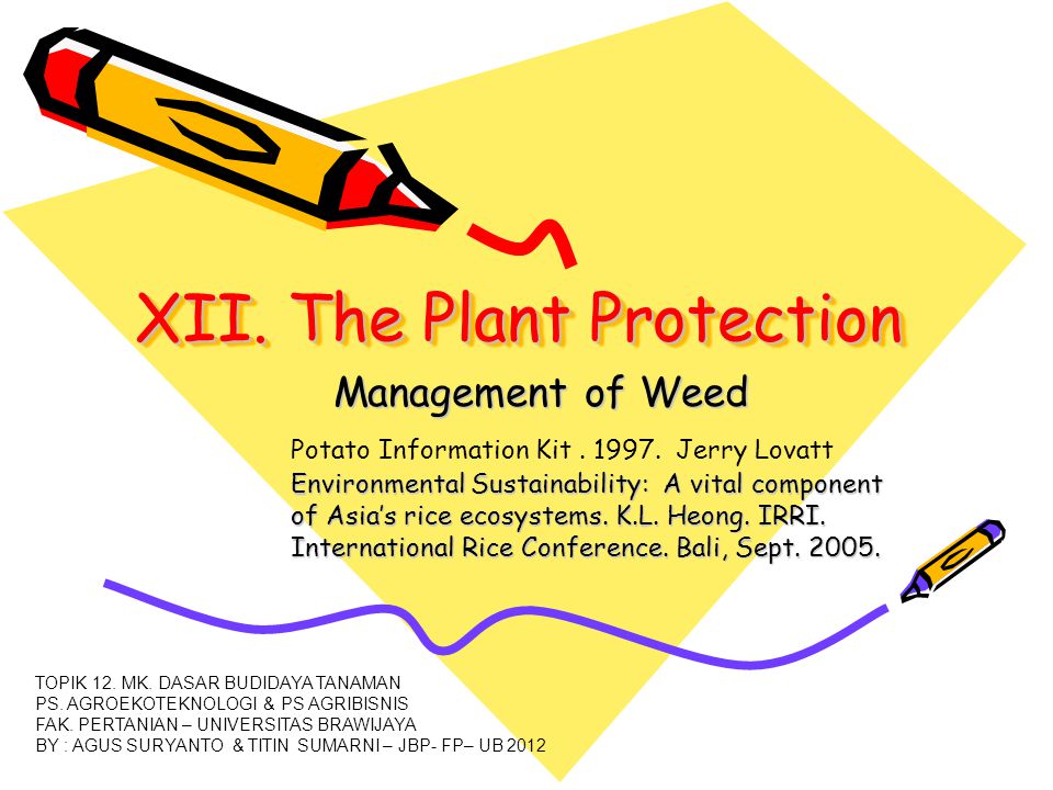 XII. The Plant Protection