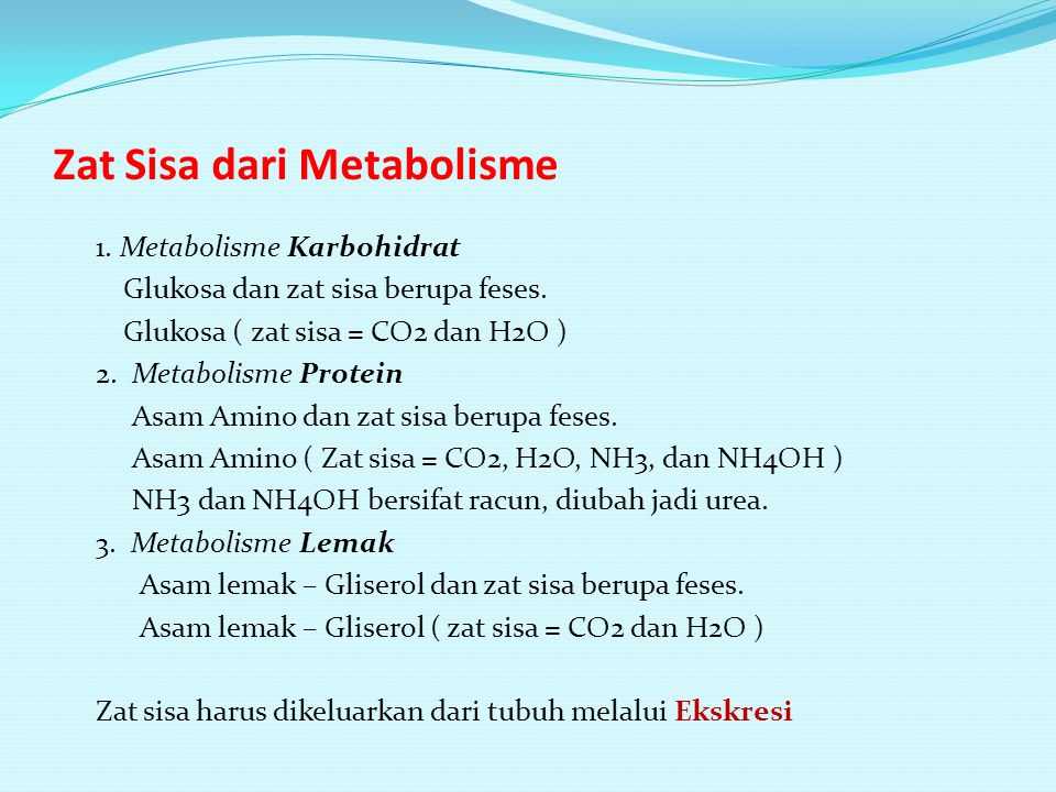 Zat Sisa dari Metabolisme
