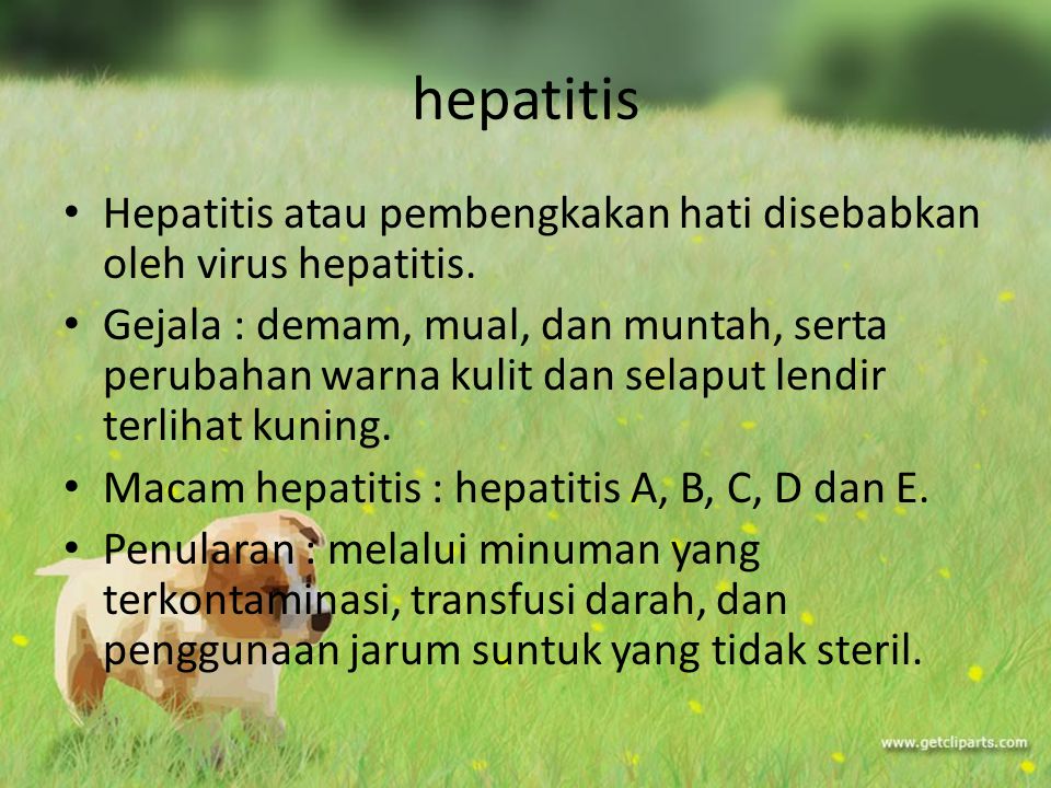 hepatitis Hepatitis atau pembengkakan hati disebabkan oleh virus hepatitis.