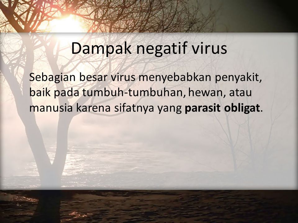 Dampak negatif virus Sebagian besar virus menyebabkan penyakit, baik pada tumbuh-tumbuhan, hewan, atau manusia karena sifatnya yang parasit obligat.
