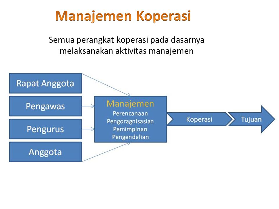 Manajemen Koperasi Semua perangkat koperasi pada dasarnya melaksanakan aktivitas manajemen