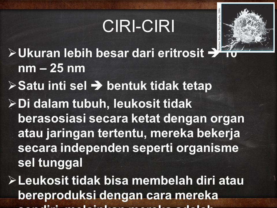 CIRI-CIRI Ukuran lebih besar dari eritrosit  10 nm – 25 nm