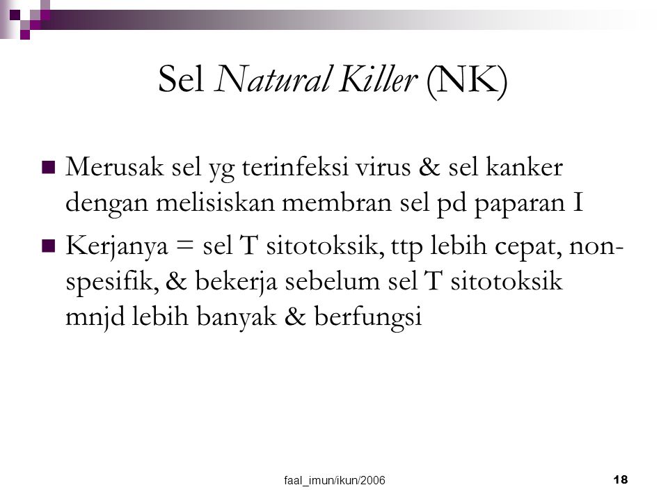 Sel Natural Killer (NK)