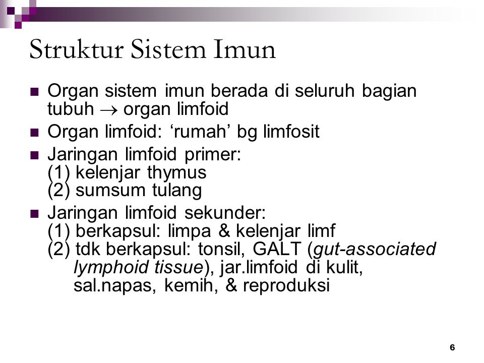 Struktur Sistem Imun Organ sistem imun berada di seluruh bagian tubuh  organ limfoid. Organ limfoid: ‘rumah’ bg limfosit.
