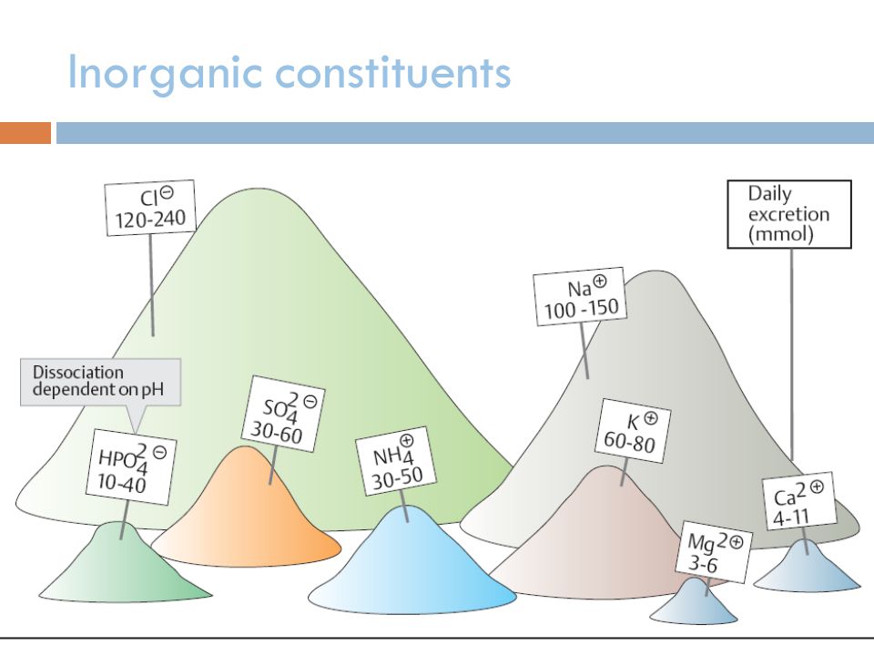Inorganic constituents