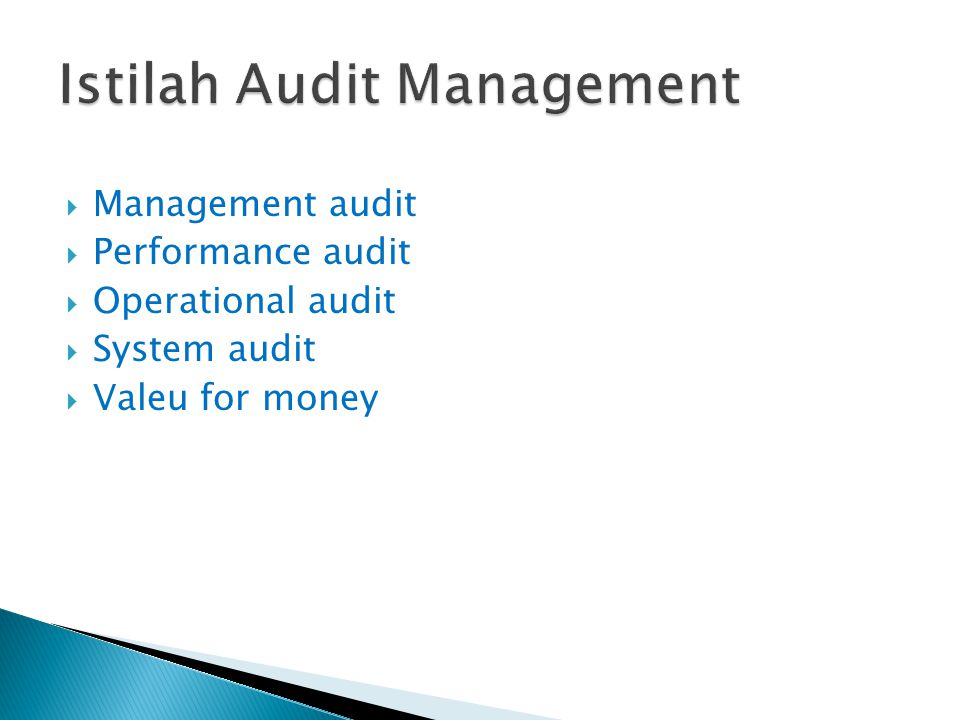 Istilah Audit Management