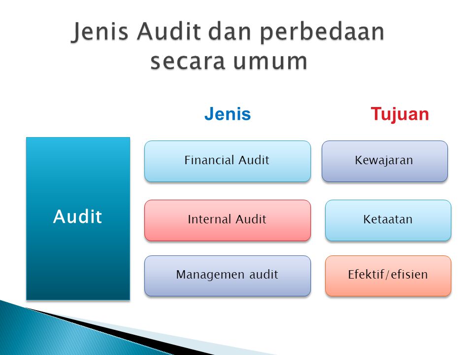Jenis Audit dan perbedaan secara umum