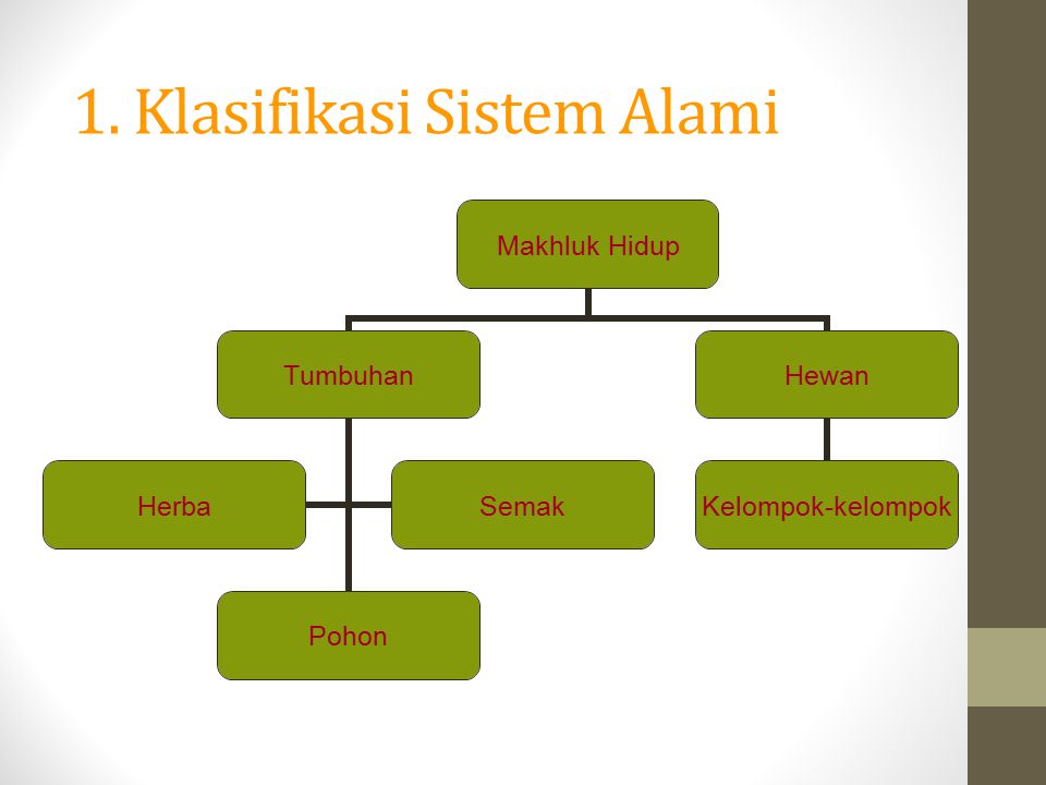 1. Klasifikasi Sistem Alami