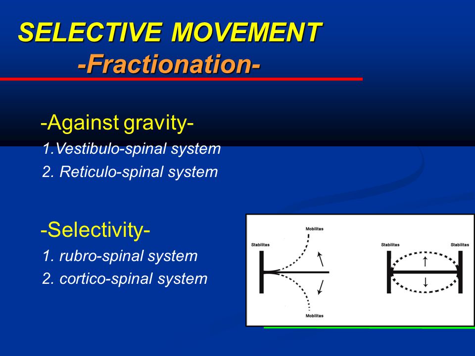 System span. Fractionation.