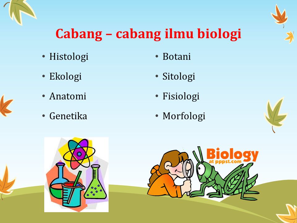 Cabang – cabang ilmu biologi