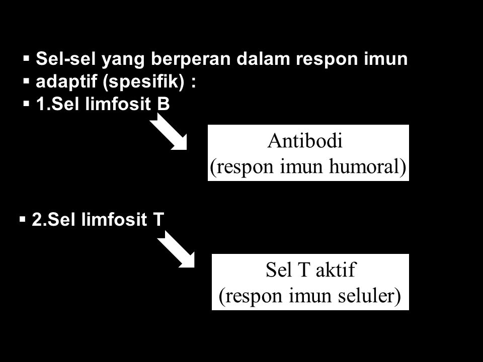 Antibodi (respon imun humoral) Sel T aktif (respon imun seluler)