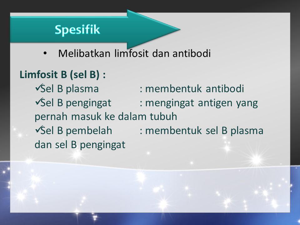 Spesifik Melibatkan limfosit dan antibodi Limfosit B (sel B) :