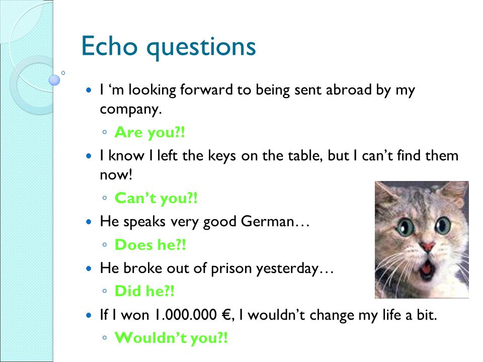 Вопрос что нового на английском. Echo questions. Эхо вопросы в английском языке. Echo questions в английском. Echo questions упражнения.