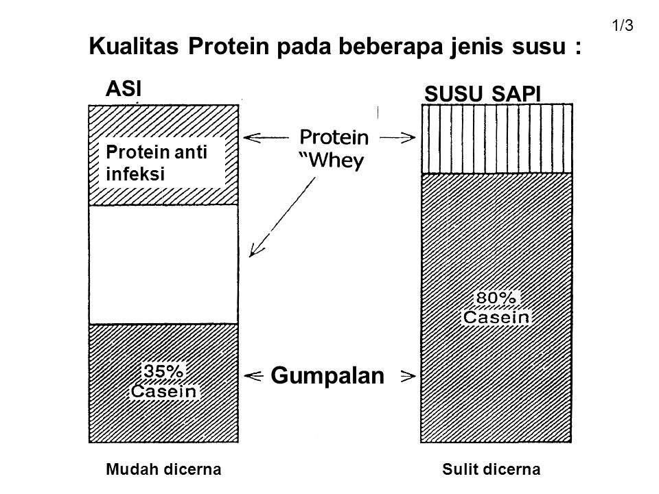 Kualitas Protein pada beberapa jenis susu :