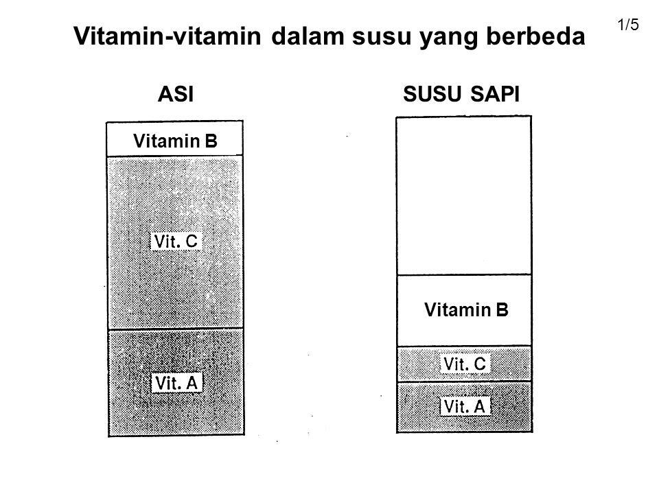 Vitamin-vitamin dalam susu yang berbeda