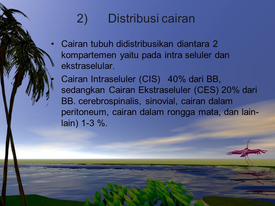 2) Distribusi cairan Cairan tubuh didistribusikan diantara 2 kompartemen yaitu pada intra seluler dan ekstraselular.